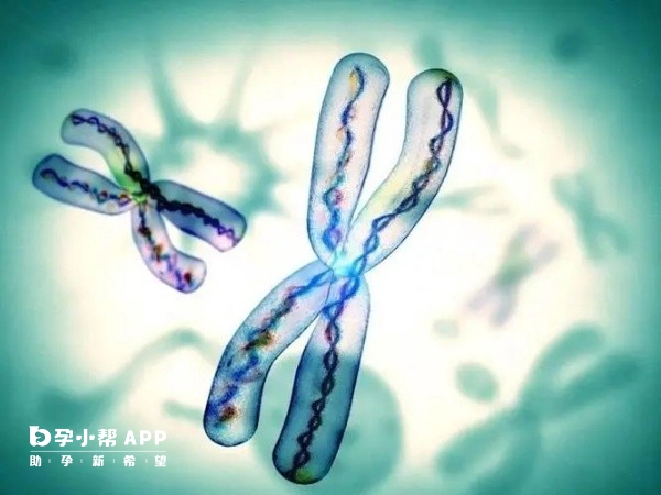 宫内早孕