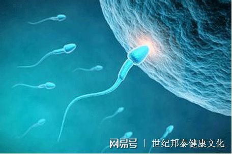 宫内早孕