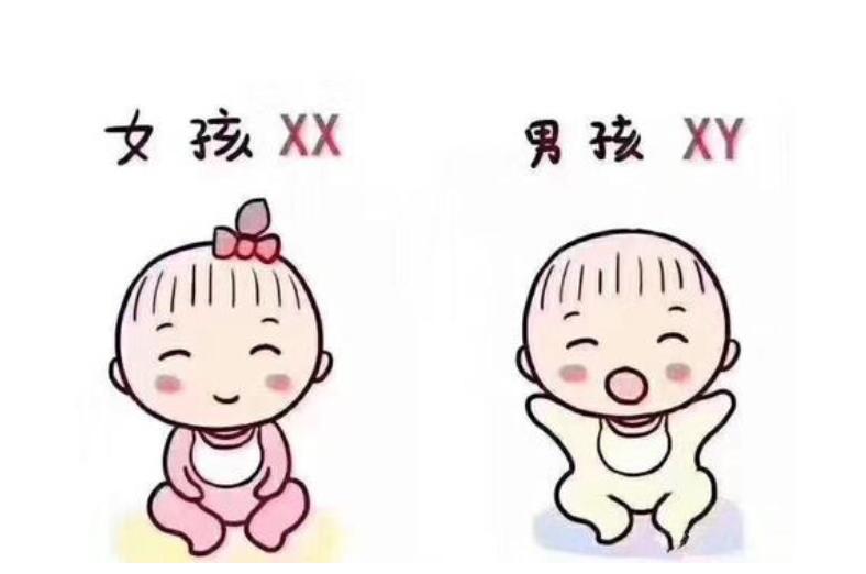 宫内偏左侧早孕