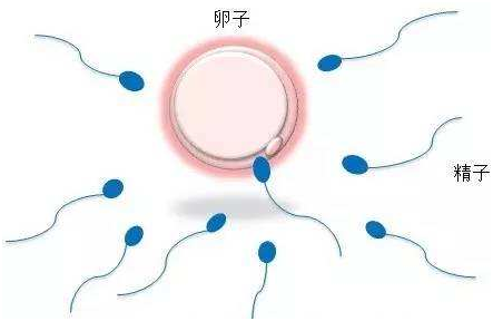 婴儿睡眠