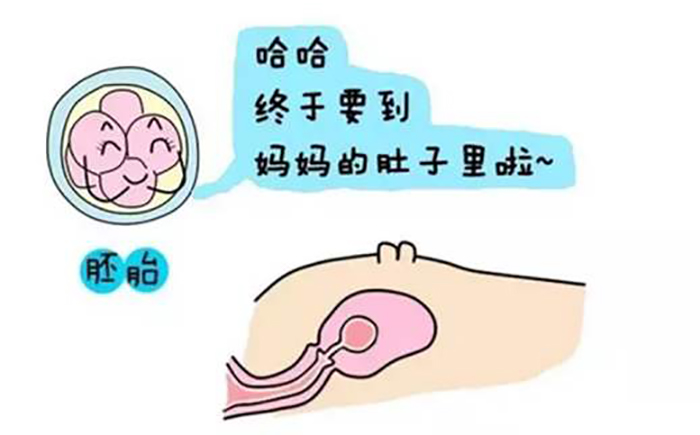 宫内早孕