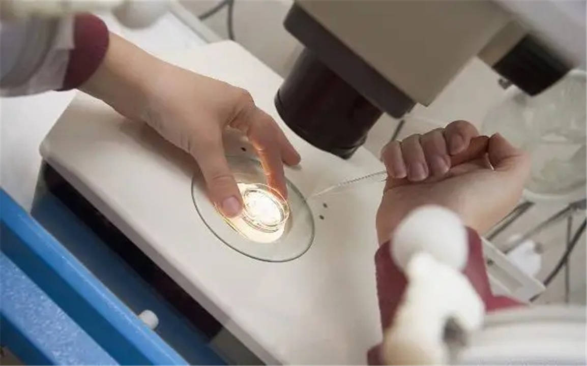 宫内无回声