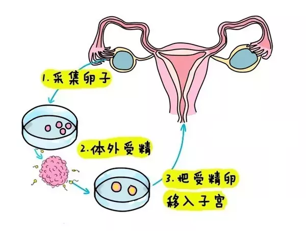 受孕