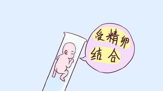 宫内无回声